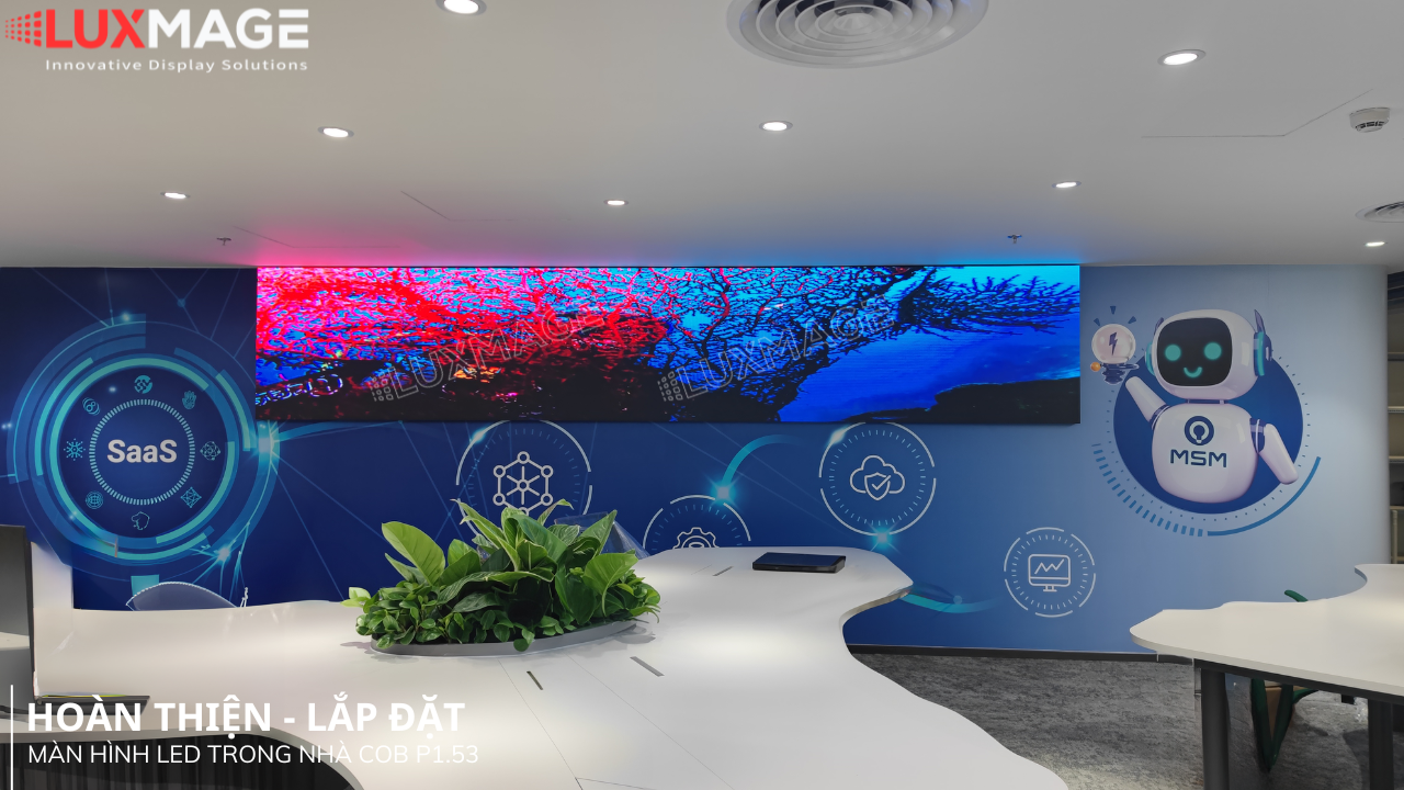Toàn cảnh dự án màn hình LED COB P1.53 tại văn phòng Quận 3, TP.HCM.